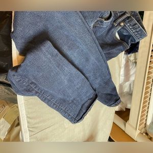Gap Denim 30x30
